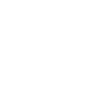 Siete